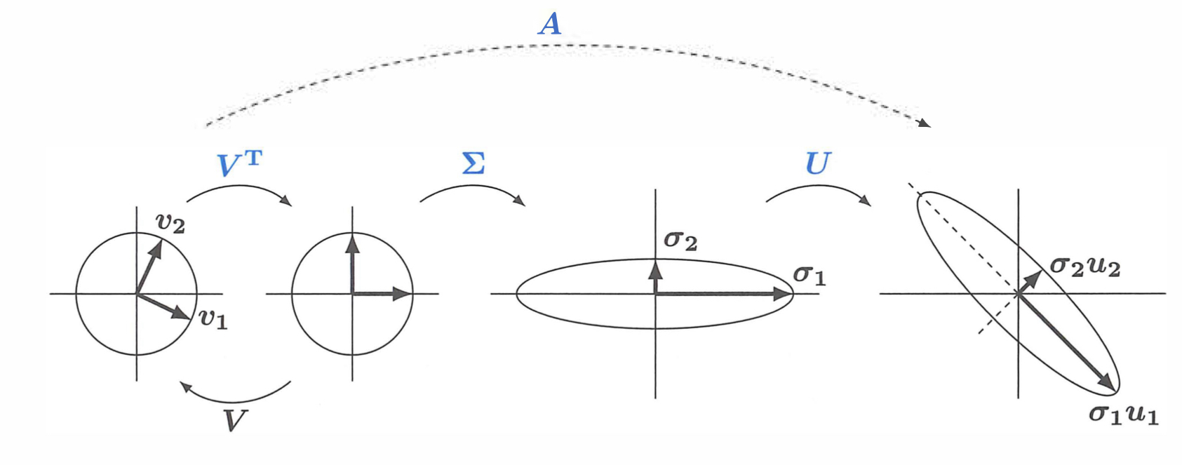 GeometrySVD