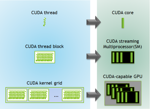 kernel